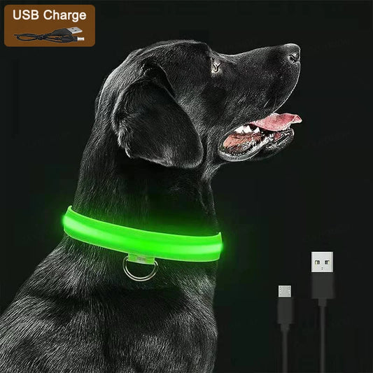 GlowGuard Pet Collar