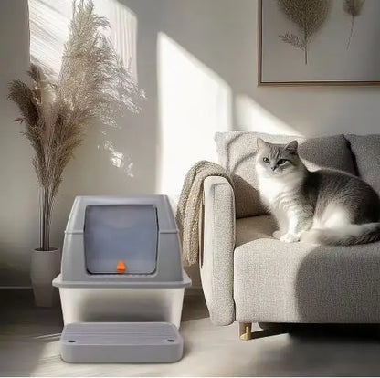 A cozy living room scene featuring a gray cat sitting on a couch beside a modern litter box, illuminated by soft, natural light.