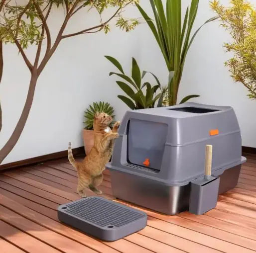 A playful orange cat reaching for a modern gray litter box in a bright outdoor setting with tropical plants.