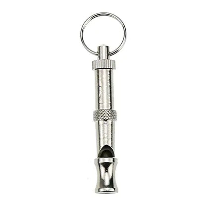 Metal dog whistle with key ring on a white background