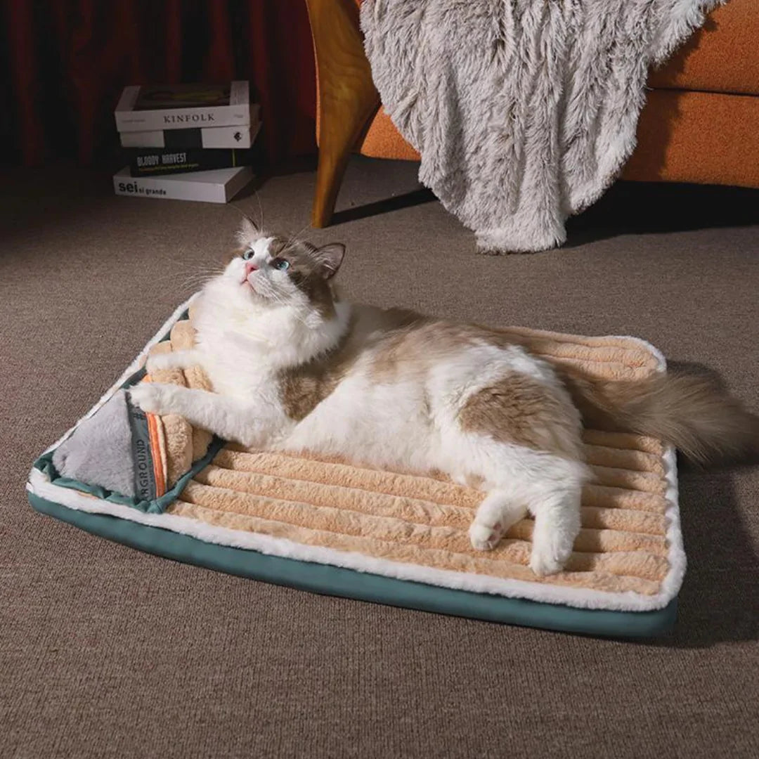 A fluffy white and cream cat lounges on a cozy bed, gazing up curiously, with a decorative blanket and books in the background.