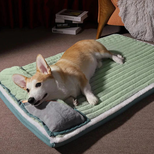 A relaxed corgi lying on a plush green pet bed, with a small gray pillow nearby, in a cozy indoor setting.