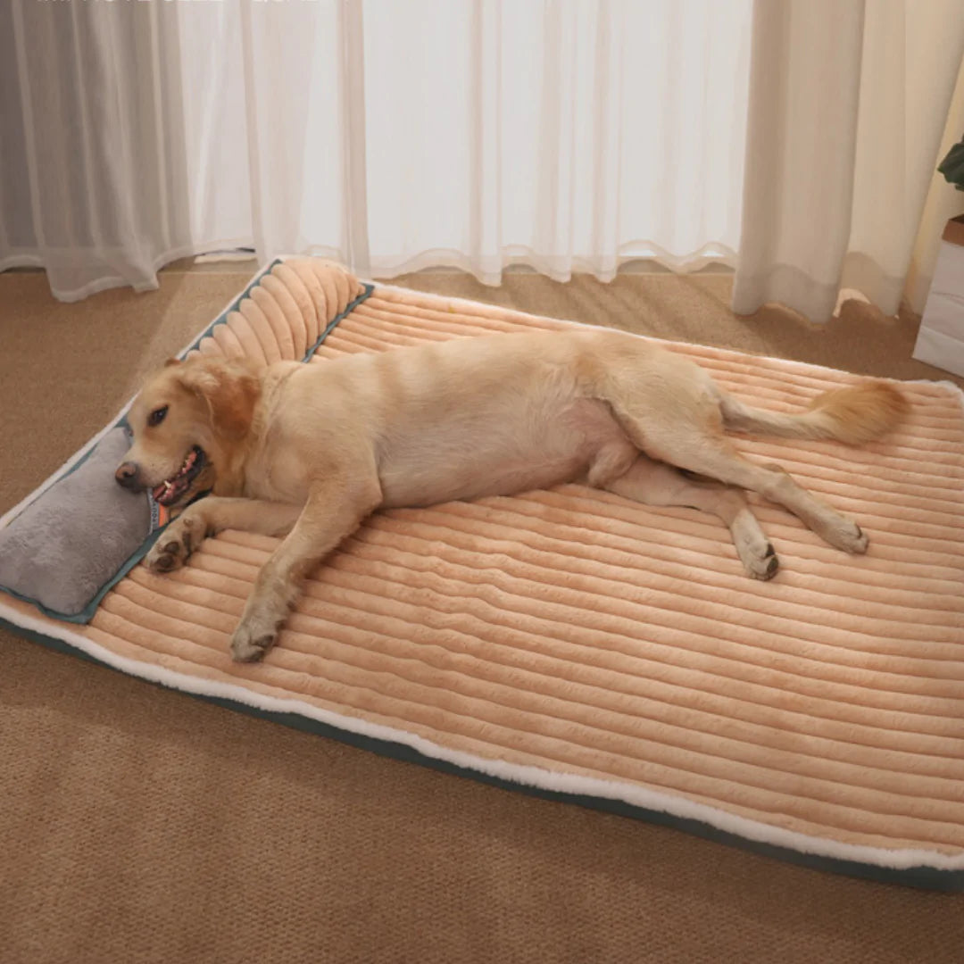 A golden retriever rests contentedly on a plush, striped dog bed, with a soft gray pillow and natural light streaming through sheer curtains.