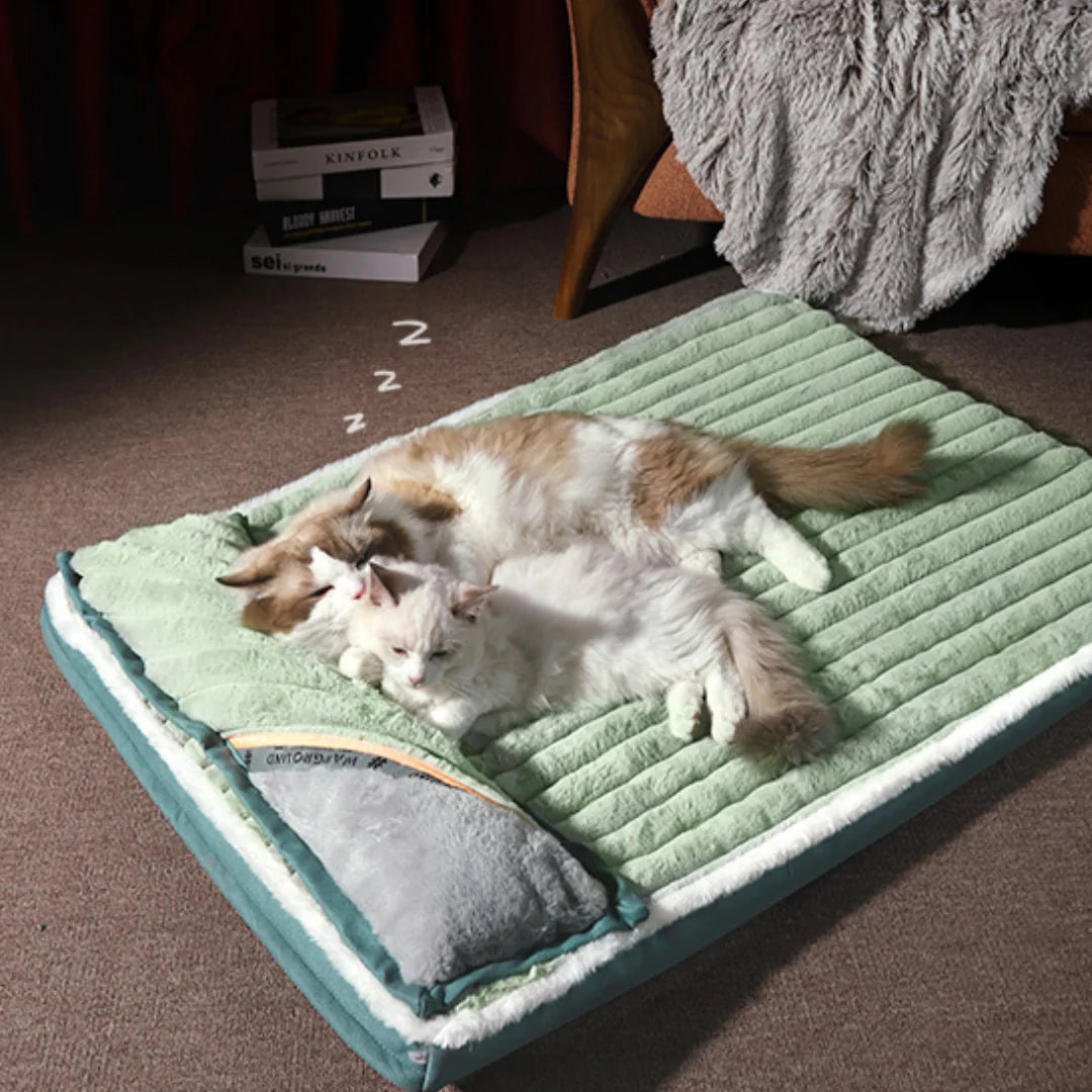 Two fluffy cats cuddle together on a green pet bed, peacefully sleeping with a decorative pillow nearby.