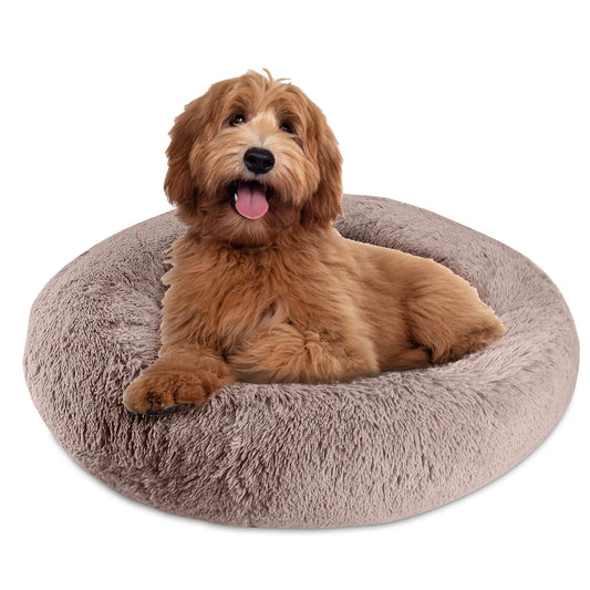 LuxCozy Orthopedic Pet Haven - Velvet Touch - Shopinapets
