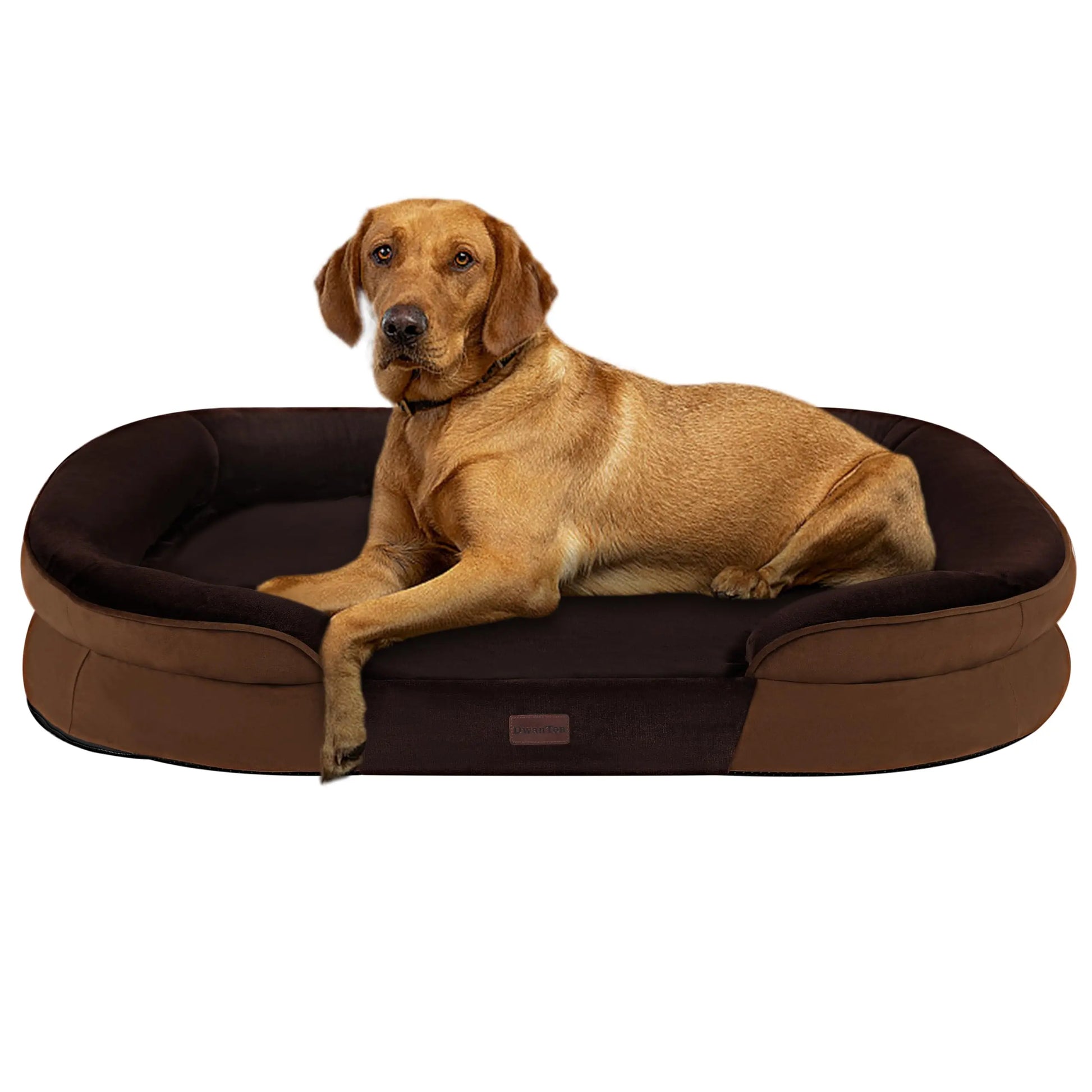 OrthoComfort XL Waterproof Dog Sofa - Shopinapets
