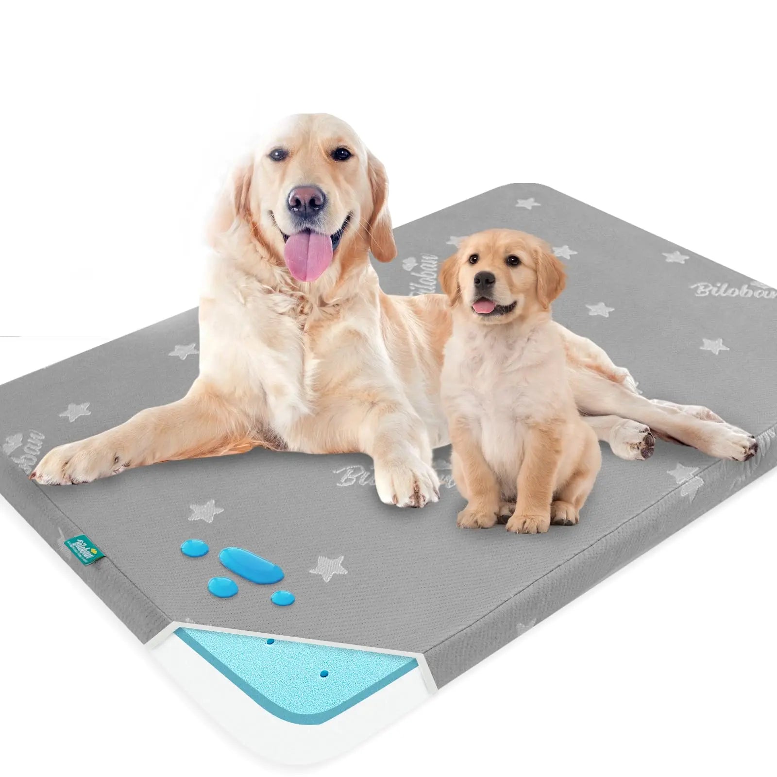 Large Washable Memory Foam Dog Bed 38"x26" - Shopinapets