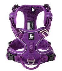 NightStride Harness-safety and comfort