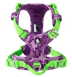 NightStride Harness-safety and comfort