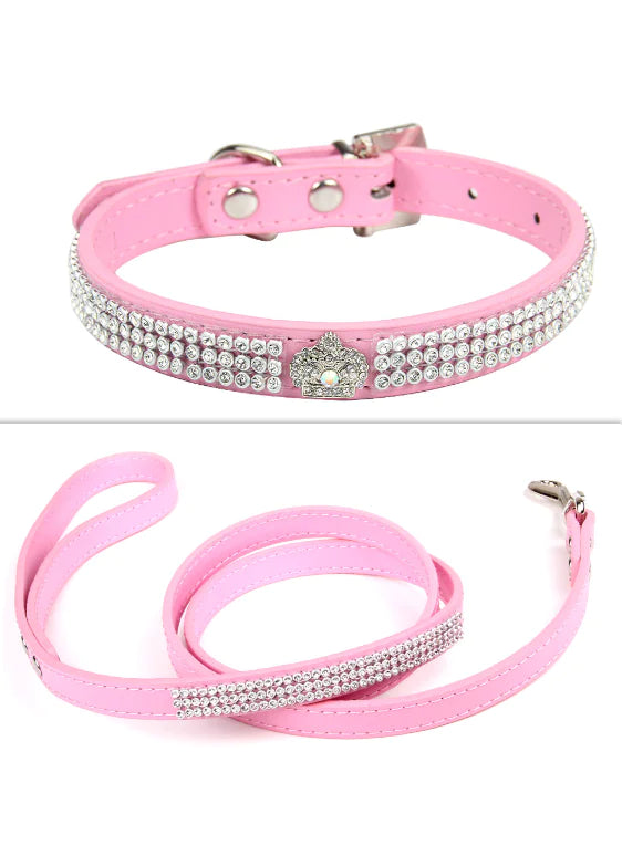 Stylish Pet Collar