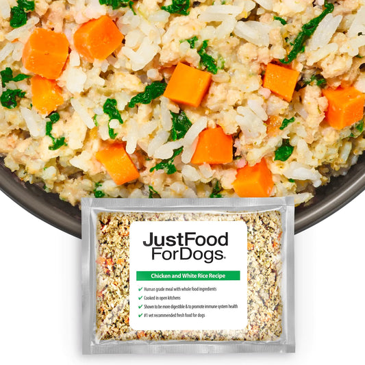 Dog food dish with rice, carrots, and greens, featuring a 'JustFoodForDogs' package.