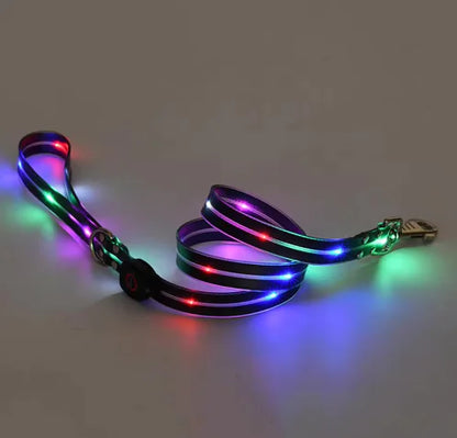 Glow Guard Collar