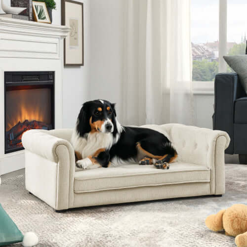 Chic Elevated Large Dog Sofa Bed Shopinapets