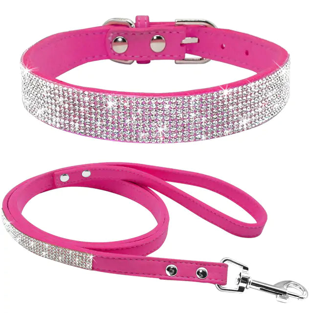 Stylish Pet Collar