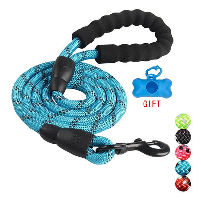 Dog Leash Walking Training Leash