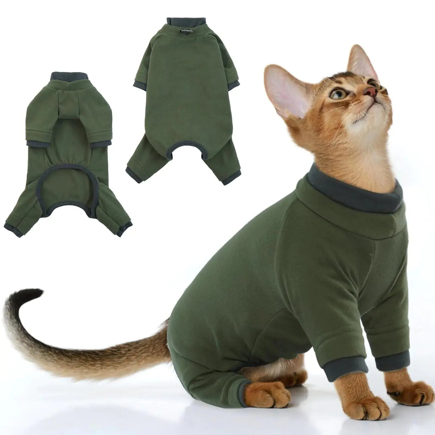 Cat wearing a green fleece onesie with a white background