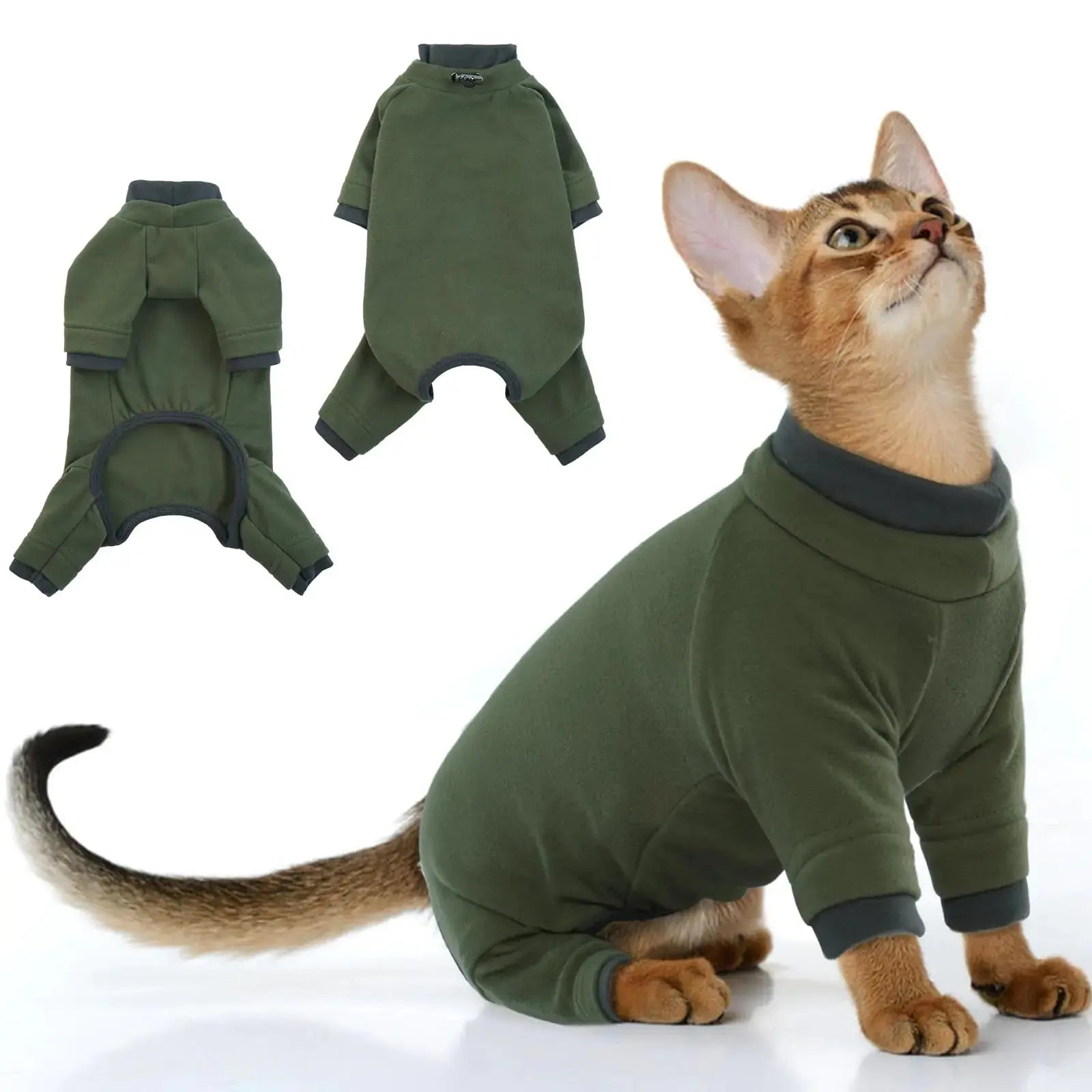 Cat wearing a green fleece onesie with a white background