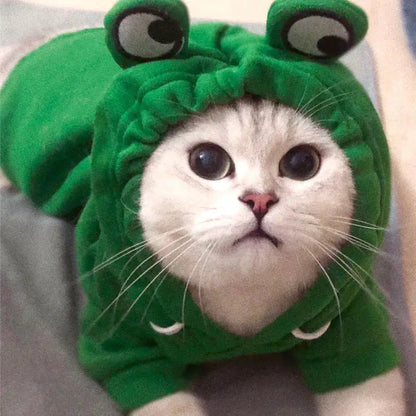 Cute And Cozy Costumes For Pet