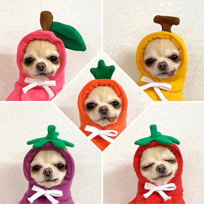 Cute And Cozy Costumes For Pet