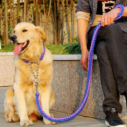 Stylish Durable Leash Set For Large Dogs