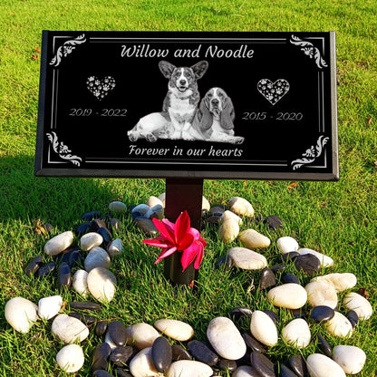 Memorial sign for two dogs with engraved names and years, surrounded by stones and a pink flower on grass.