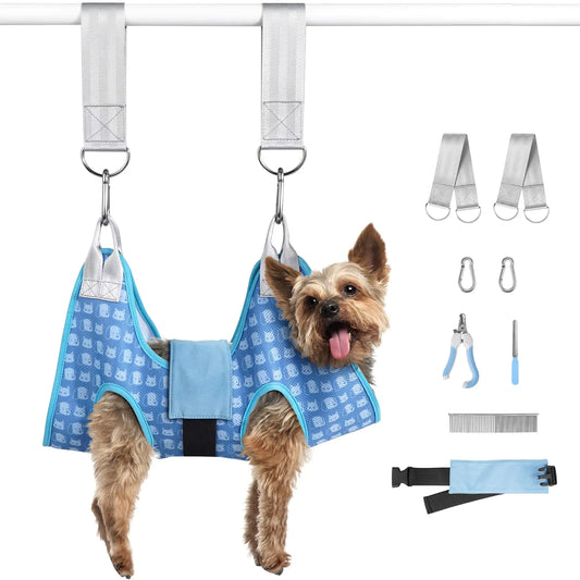 Dog in a blue harness with grooming tools on a white background