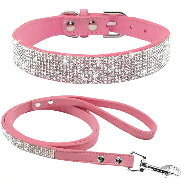 Stylish Pet Collar